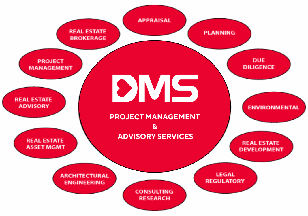 Project Management & Advisory Services